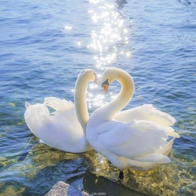 华体会登录手机版手机app下载