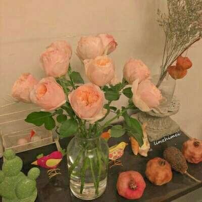 极速赛车信誉老平台